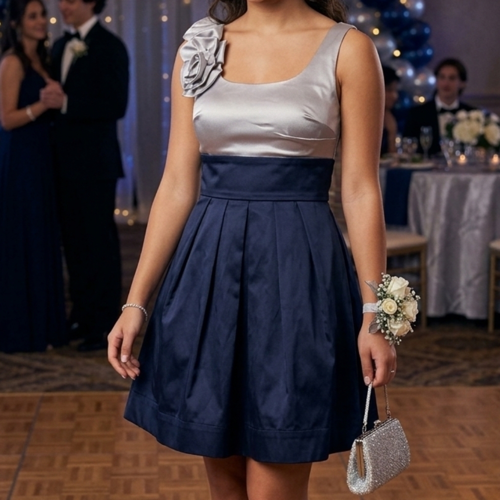 Pretty Silver and Midnight Blue Event Dress EUC ❤️